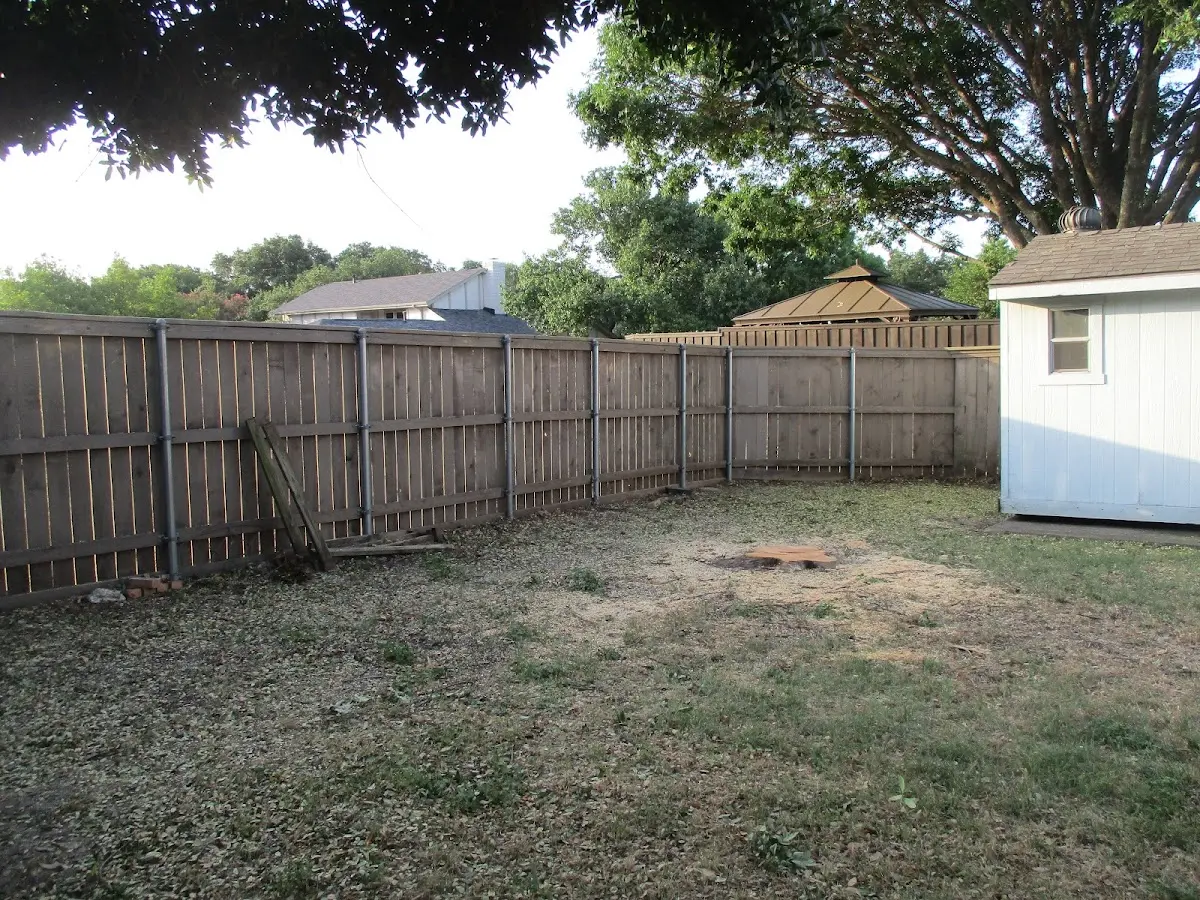 Cleared yard after professional tree removal in Liberty Corner